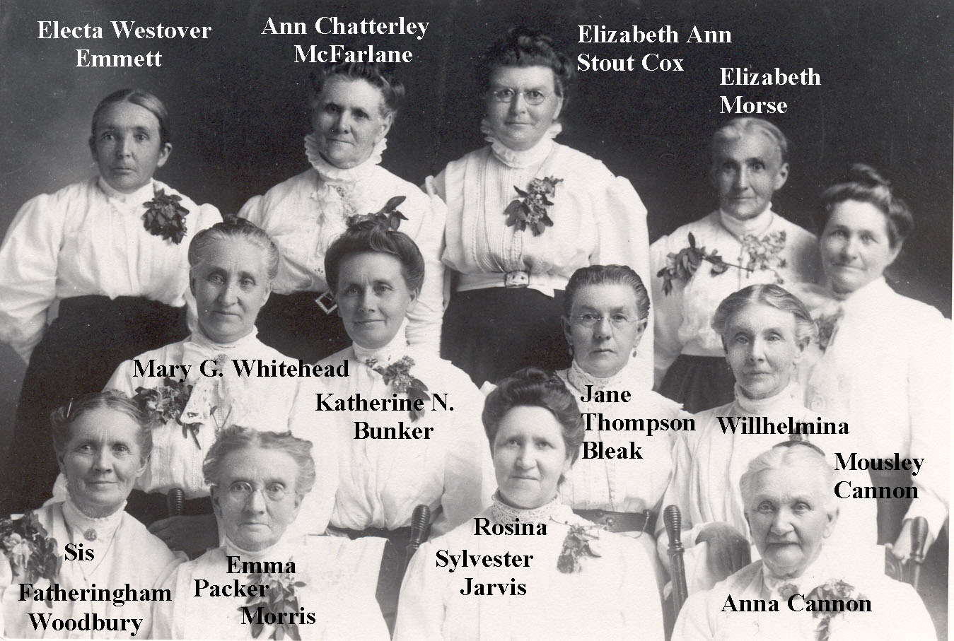 Electa Jane Westover Emett Westover Family History