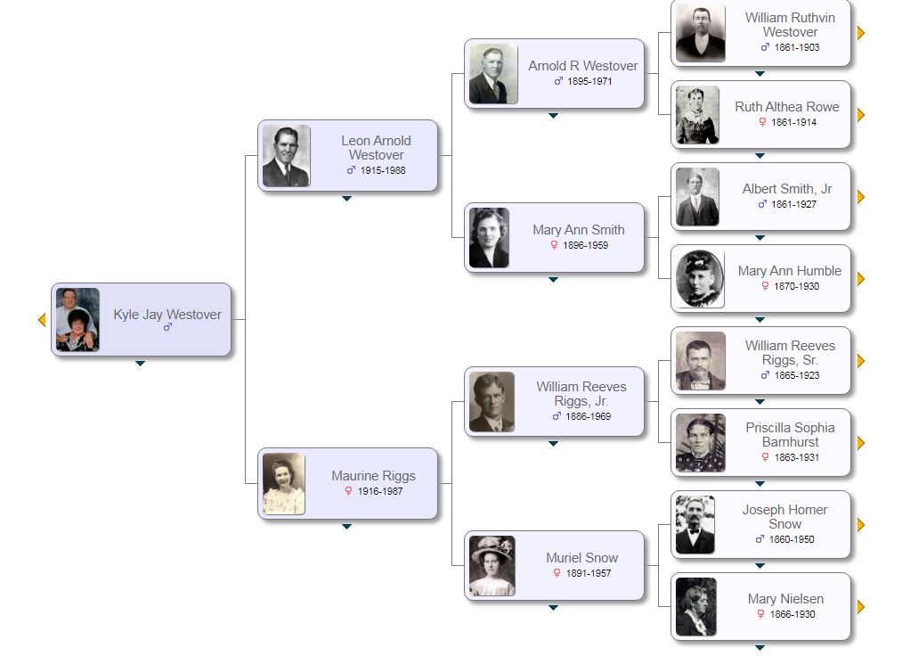 Family Tree Use and Contribution - Westover Family History