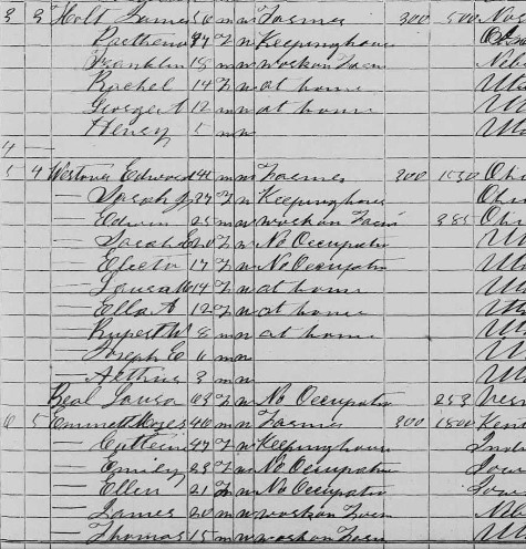 1870 Census in Hamblin