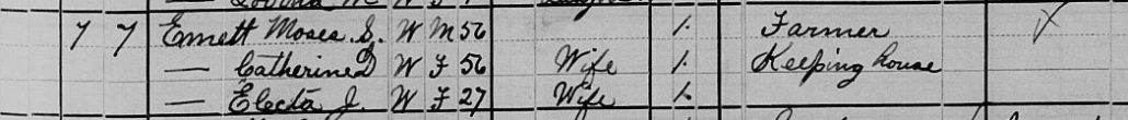 1880 Census